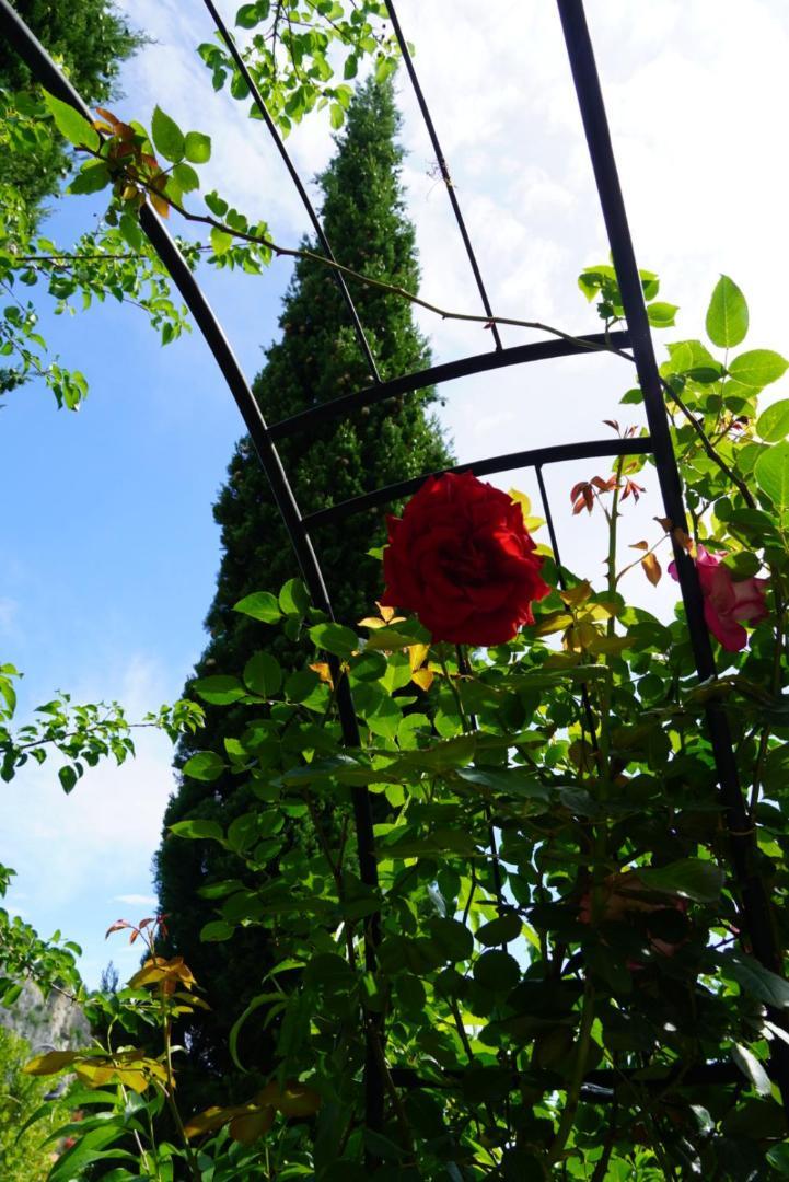 Portopiccolo Apartments With Garden And Beach Included Sistiana Dış mekan fotoğraf