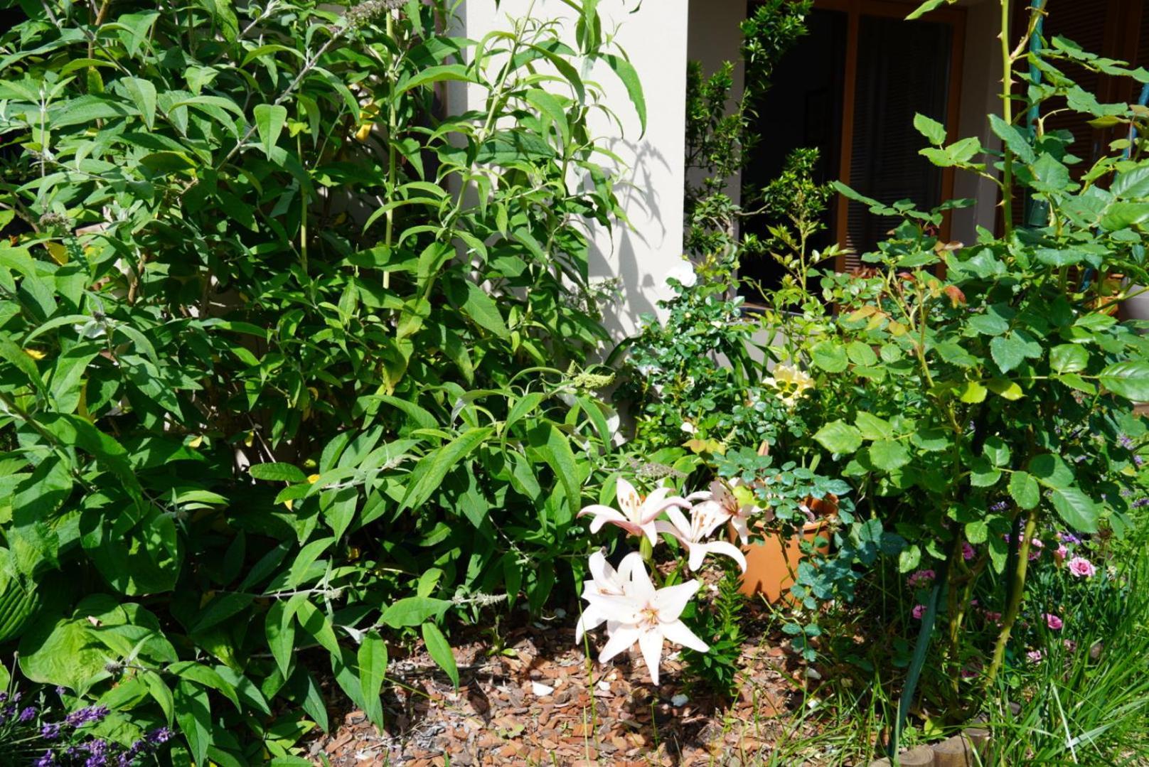 Portopiccolo Apartments With Garden And Beach Included Sistiana Dış mekan fotoğraf
